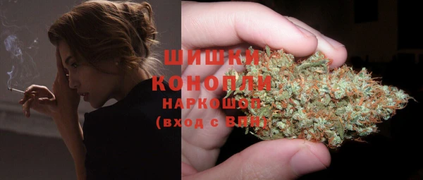 ПСИЛОЦИБИНОВЫЕ ГРИБЫ Абдулино