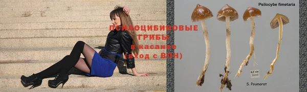 круглые Абаза