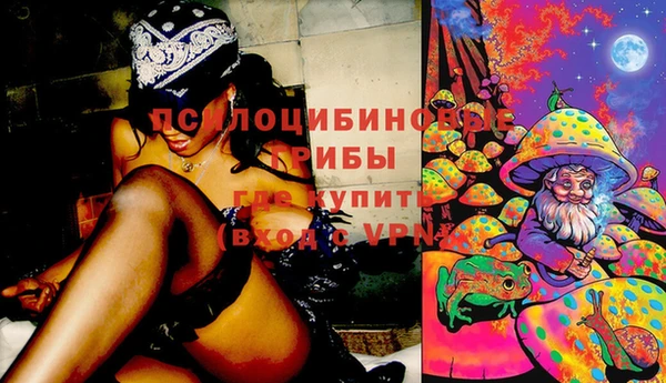 ПСИЛОЦИБИНОВЫЕ ГРИБЫ Абдулино