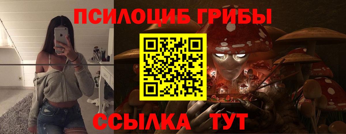 Галлюциногенные грибы GOLDEN TEACHER  Вход с VPN  Галлюциногенные грибы Psilocybe  Симферополь 