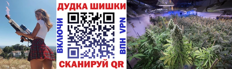 Конопля марихуана  Симферополь 